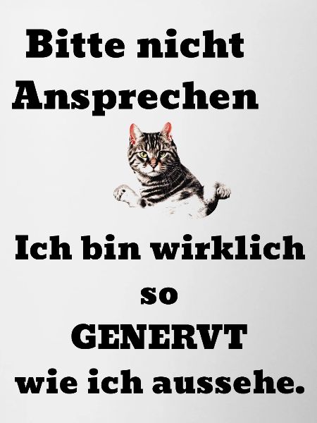 Saying cat annoyed
