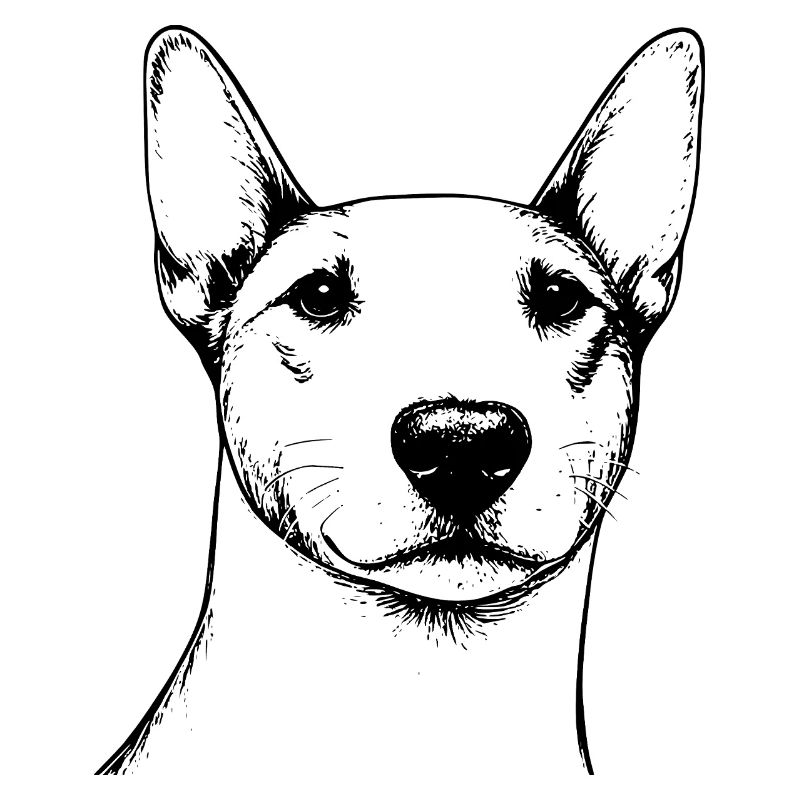 Bullterrier Umrisse