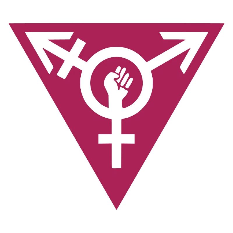 Féminisme intersectionnel