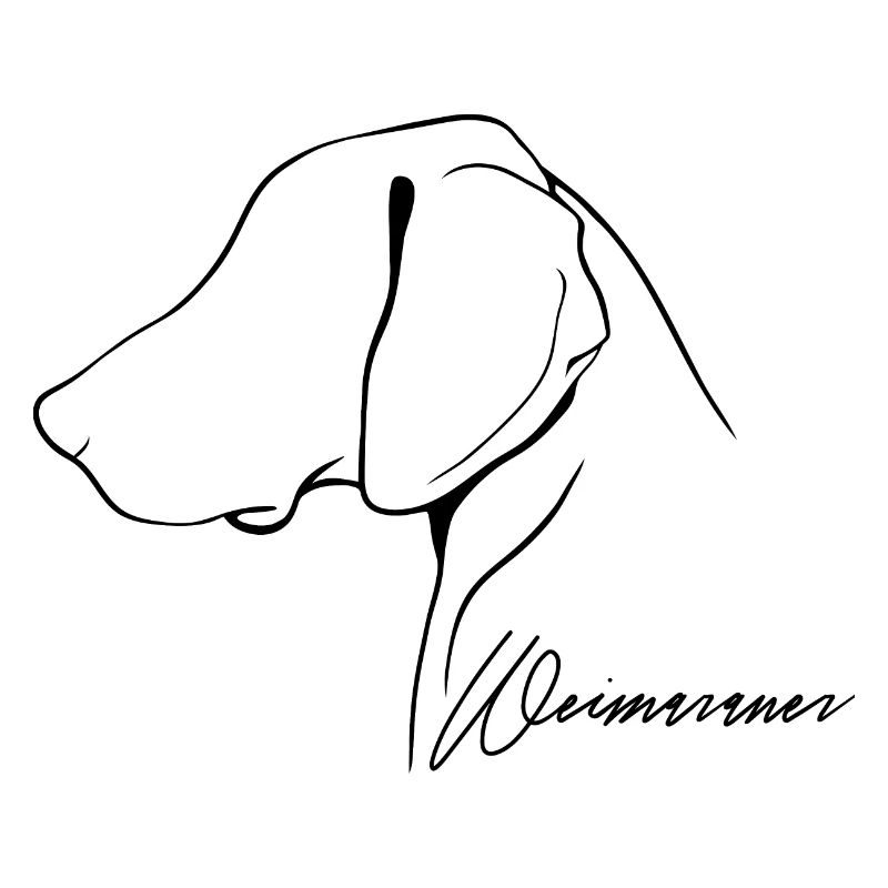 WEIMARANER Profil Chiens Chiens Chiens de chasse Wilsigns