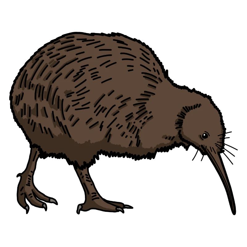 Kiwi Vogel