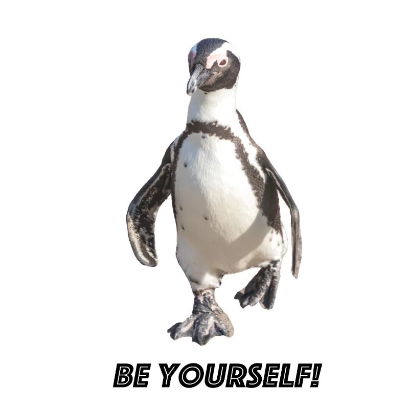 Pingouin be yourself