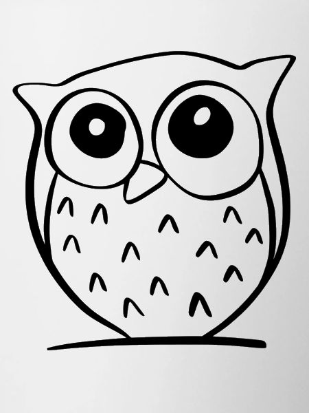 Cute Owl
