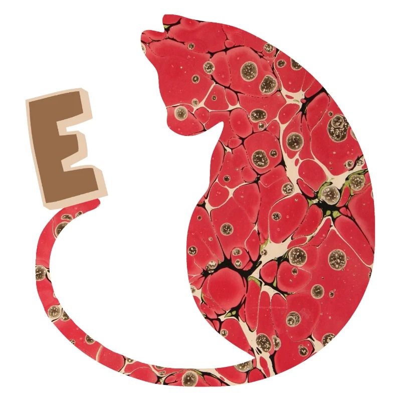 Lettre E avec Cat E 245