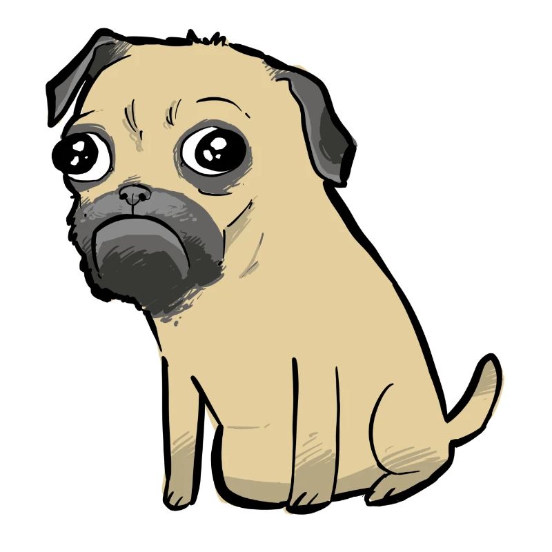 Pug