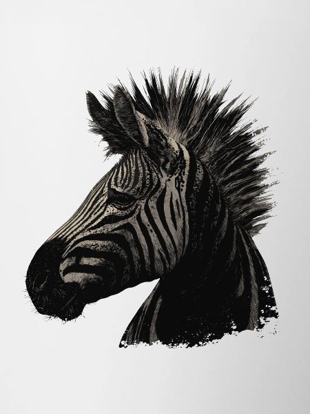 Punk zèbre