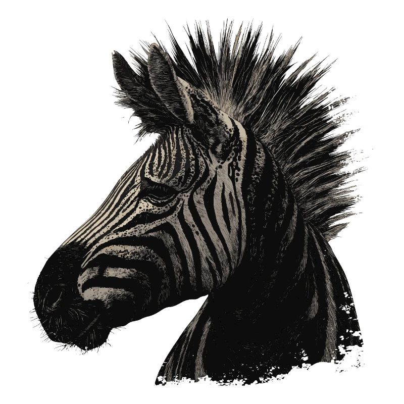Punk zèbre