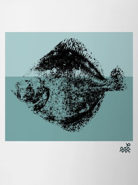 Erreboiloa