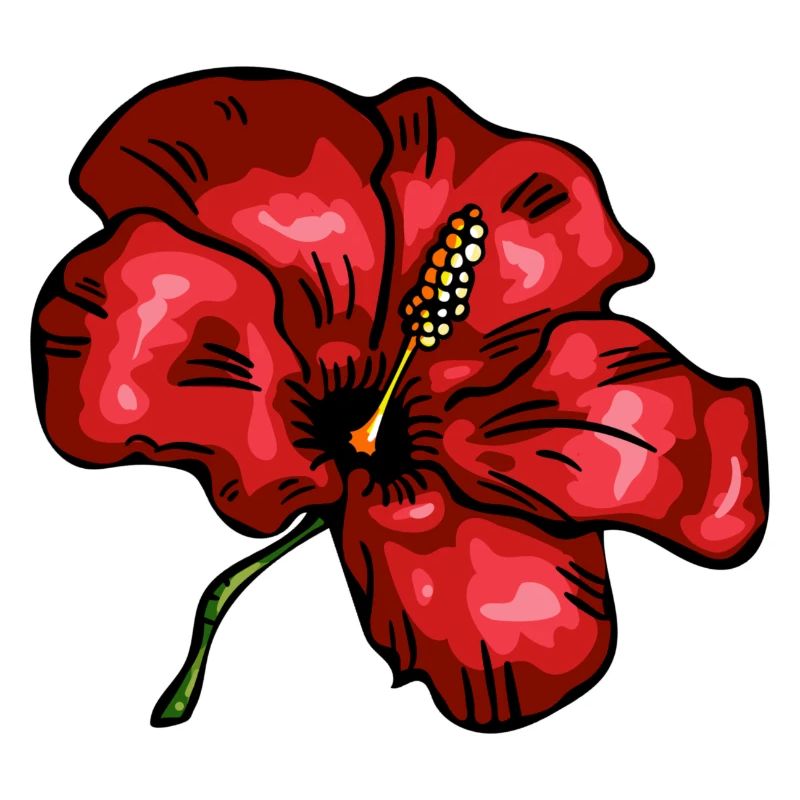 hibiskus