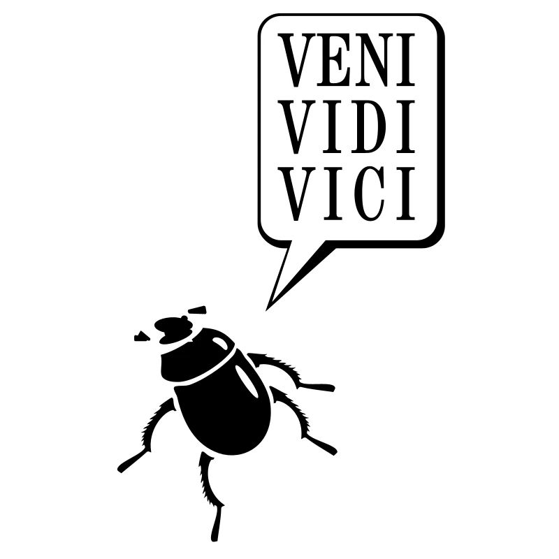 scarabée coléoptère / beetle (2c)