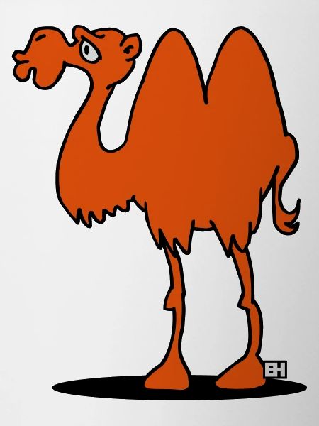 Camel
