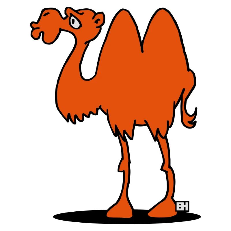 Camel