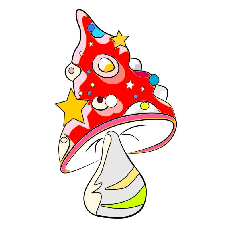 Red mushroom - fly agaric
