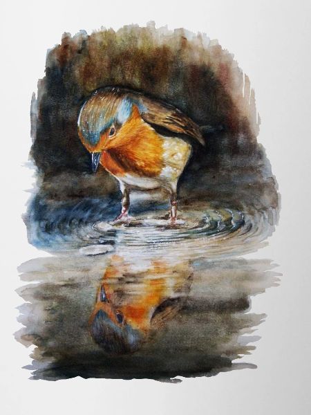 rouge-gorge