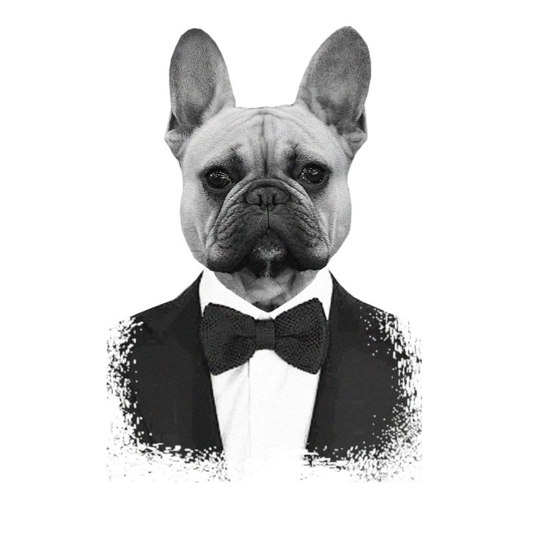 Bouledogue en Smoking Élégant