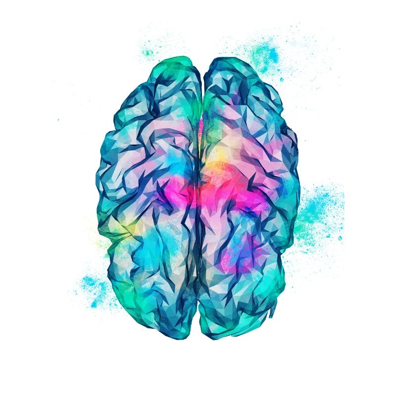Brain Low Poly Colorful