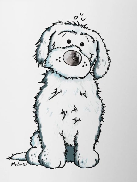 Bichon Maltaise Chien