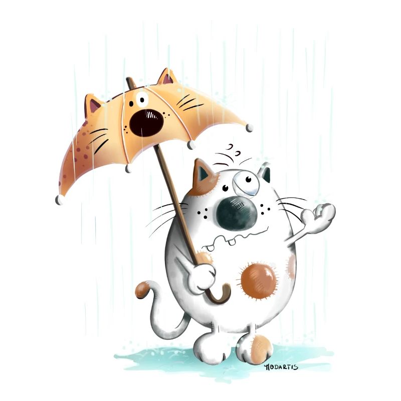 Rainy Day