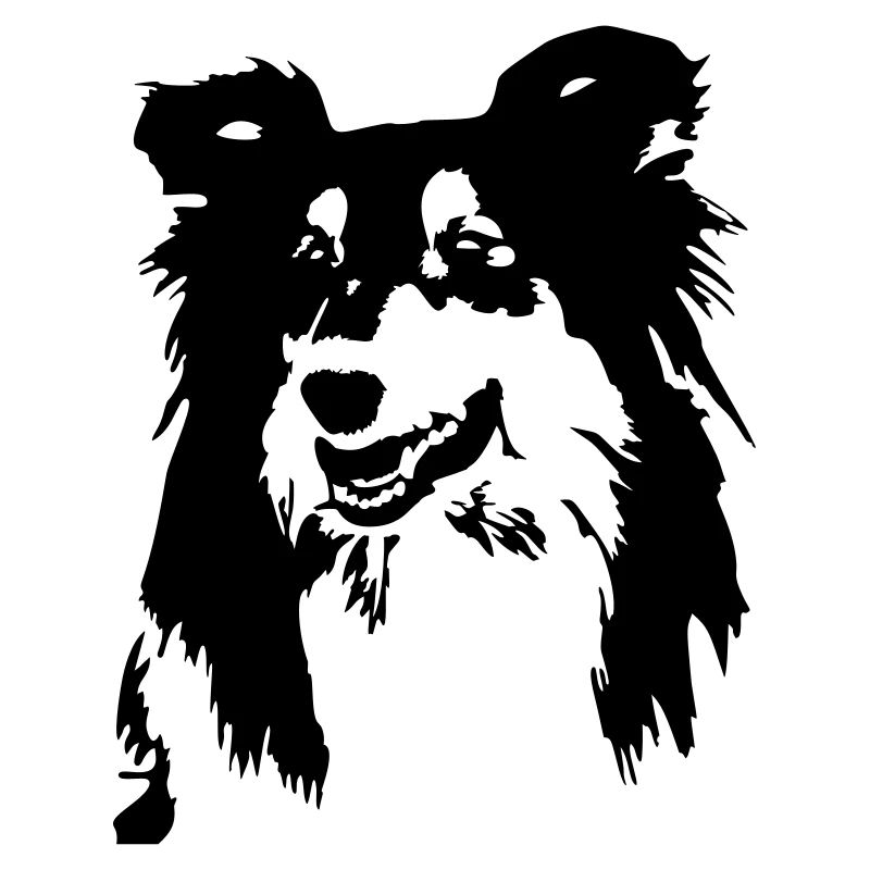 Collie Kopf