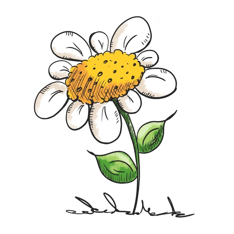 Fleur dessin animé - Cadeau
