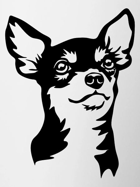 Chihuahua head