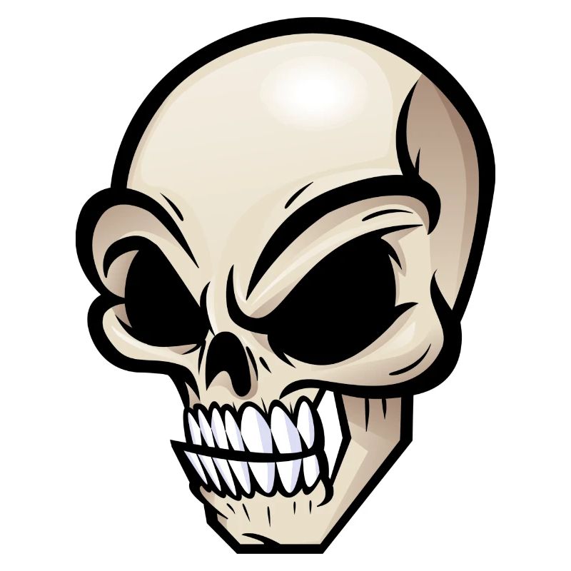 Rebel Skull with Functional Style