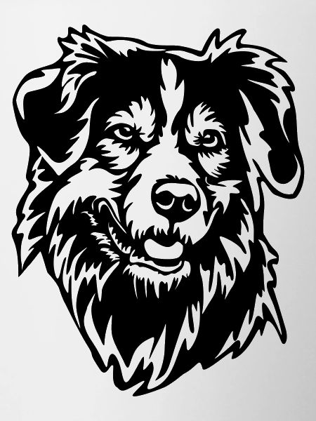 Australian Shepherd Head
