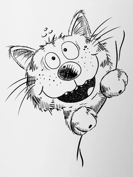 Drôle de chat rit