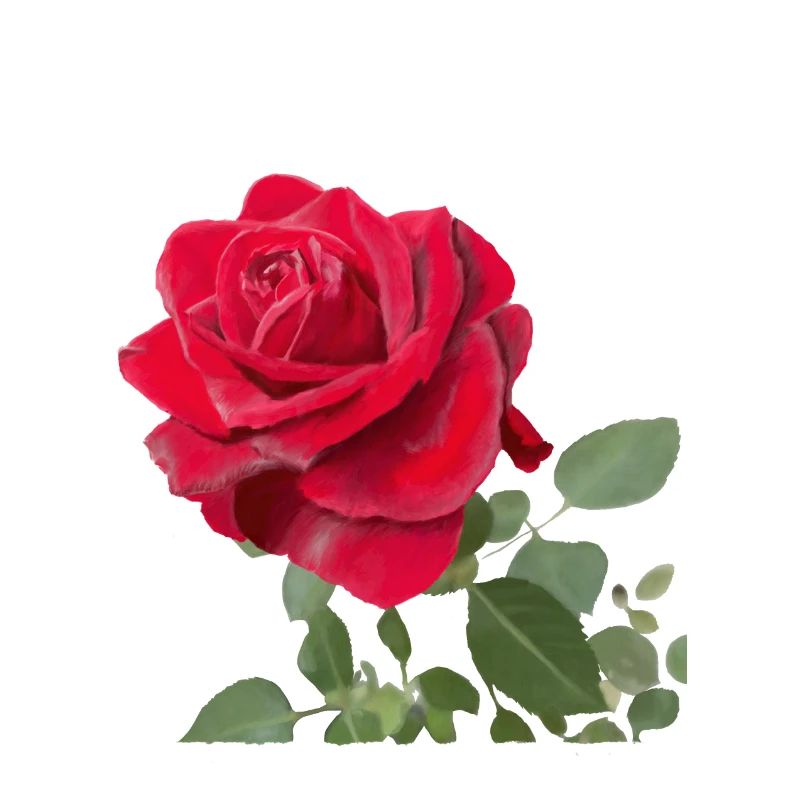 Rose rouge