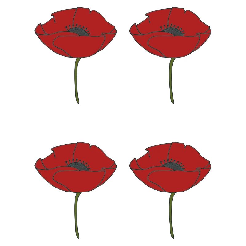 corn poppy