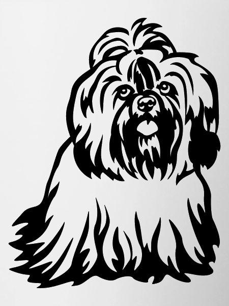 Shih-Tzu