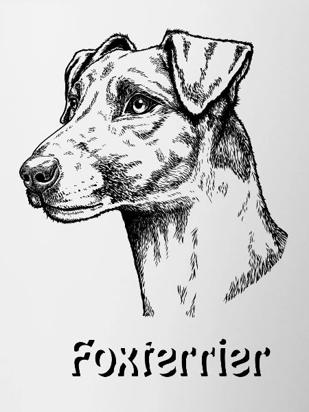 Fox Terrier Smoothhair Portrait