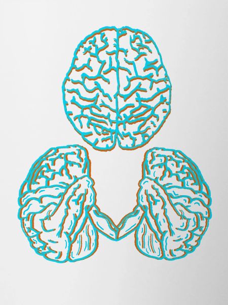 Cerveau