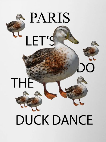 Danse du canard
