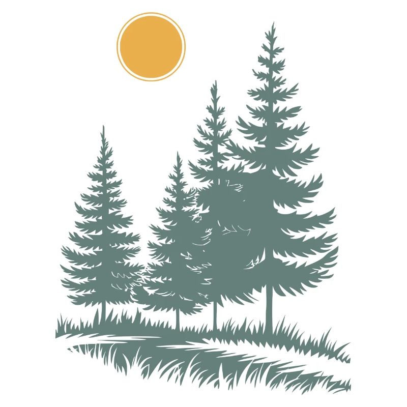 Sunlit Pine Silhouette