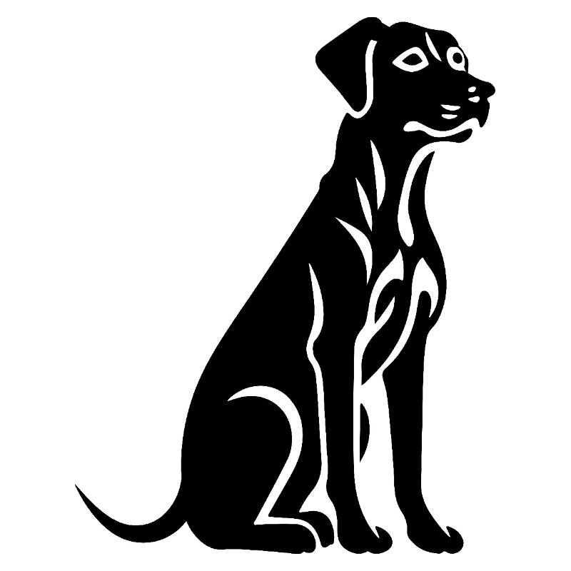 Chien dalmatien
