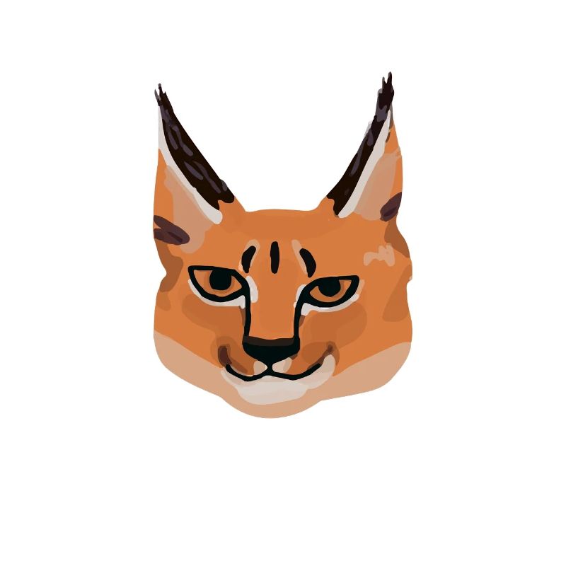 Caracal majestueux