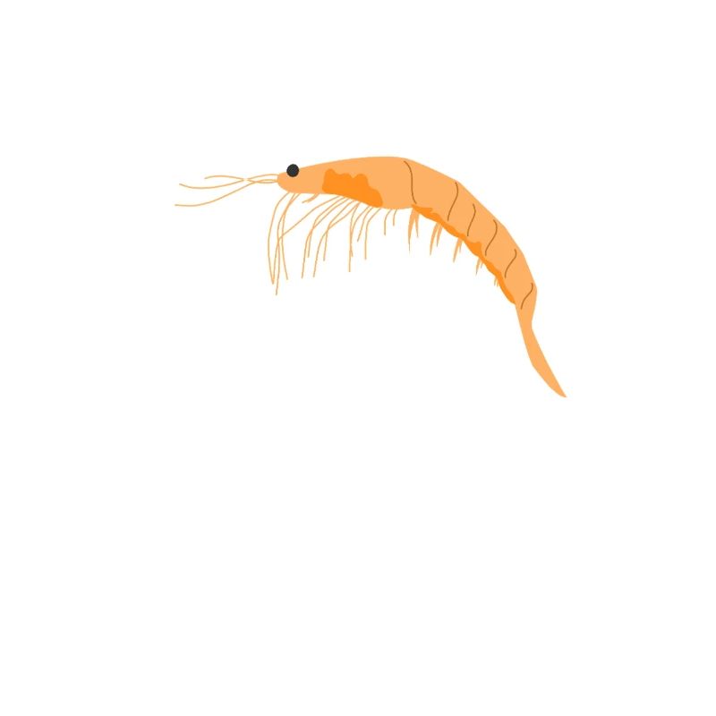 Fundamental Oceanic Krill