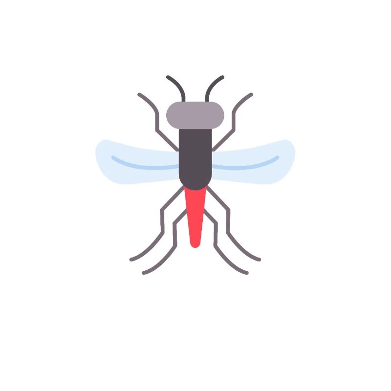 Scheming mosquitoes