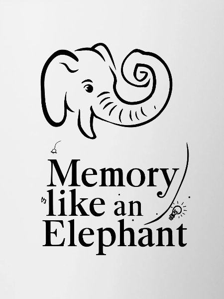 Memory Like an Elephant
