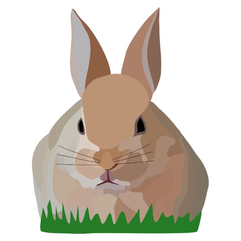 Holly Rabbit in the Grass