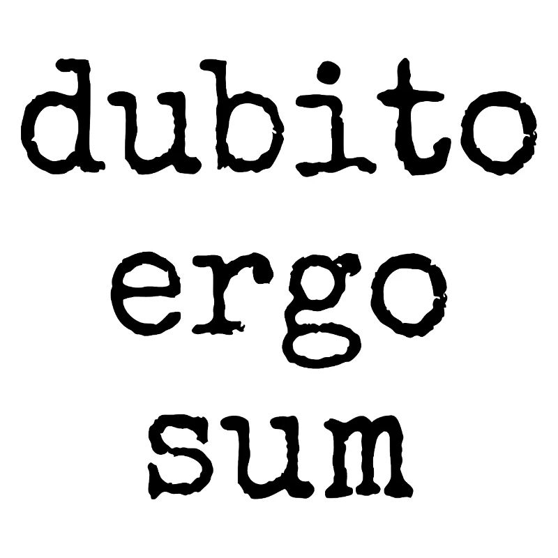dubito ergo sum - I doubt therefore I am - saying
