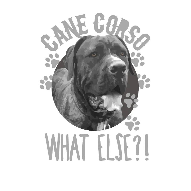 Cane Corso What else?! Dog Hundfeund Moloss