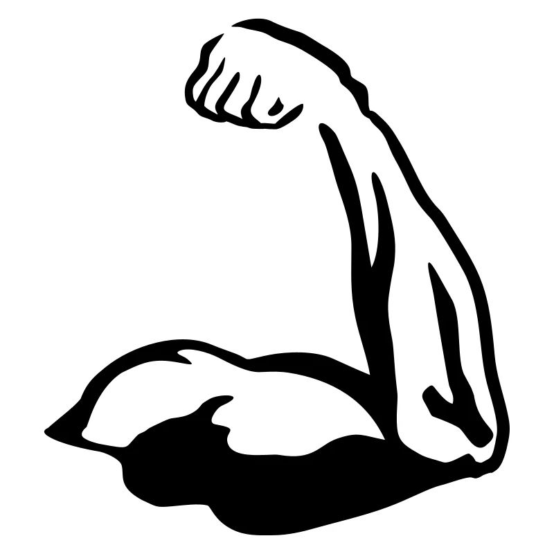 Muscels, Bicep