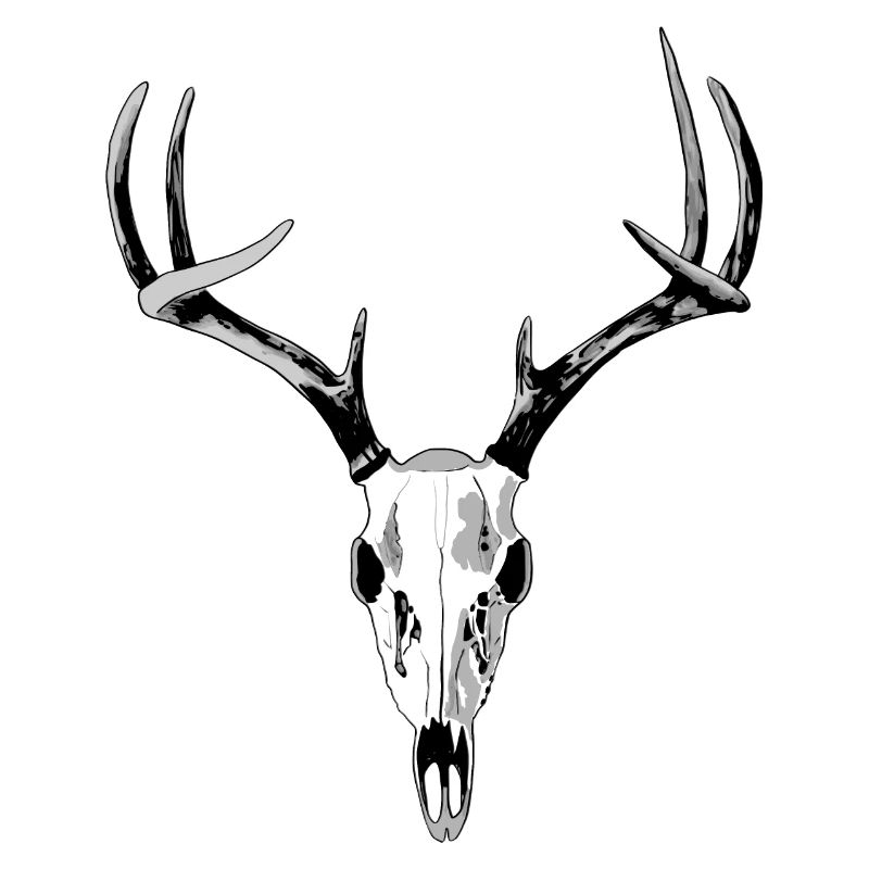 oh deer