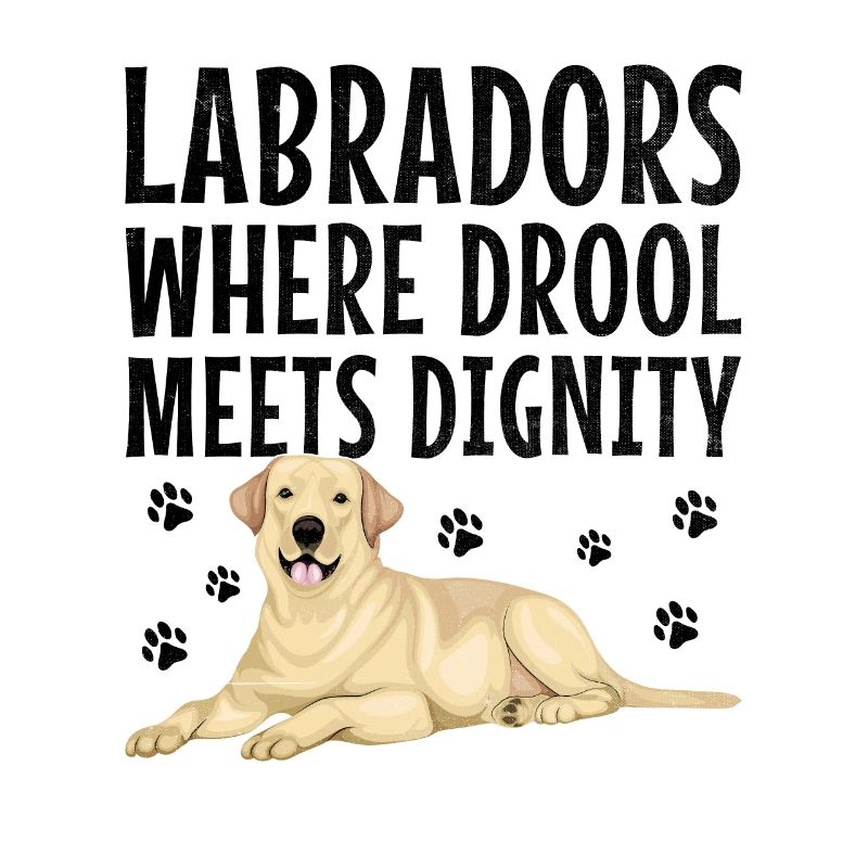 Labradors Where Drool Meets Dignity Labrador Retri