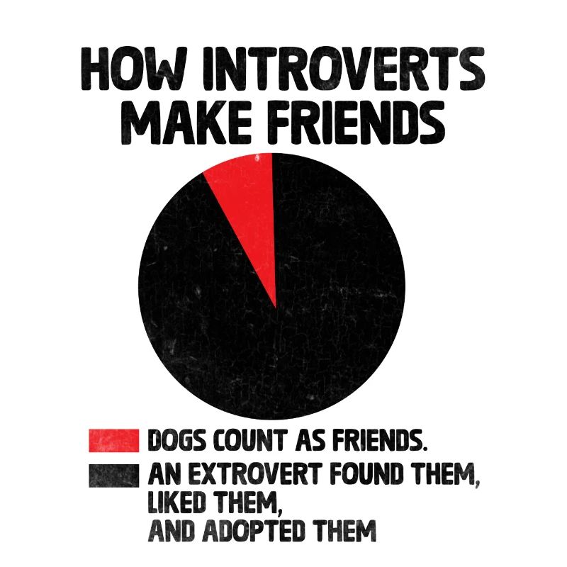 How Introverts Make Friends Sayings For Introverts