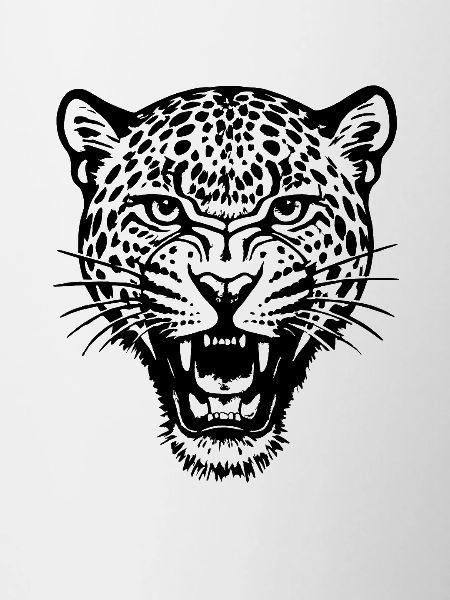 Leopard - Big Cat, Africa
