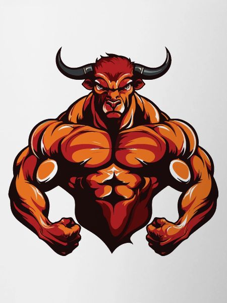 Muscles du Taureau