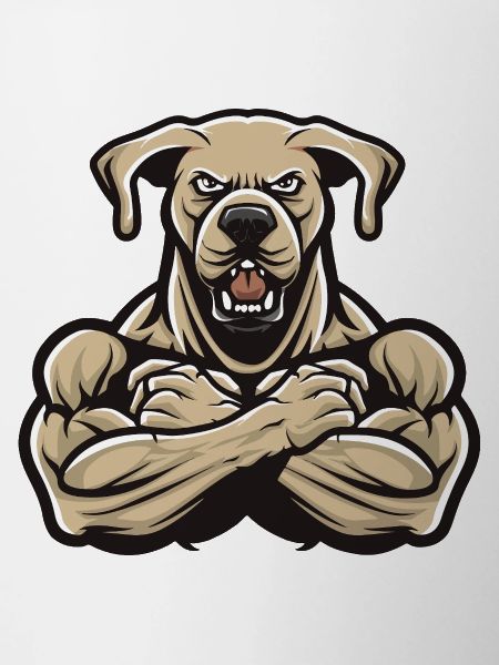 Labrador Dog Muscles Bodybuilding